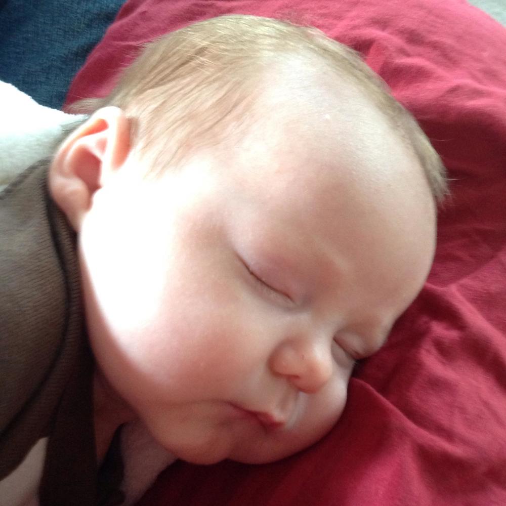 Meet your Posher, Karen